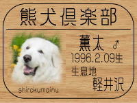 ���N���}�}����̂g�o�ւf�n�I